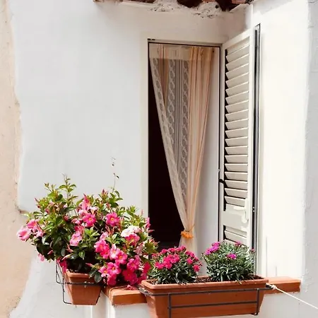 Il Riccio 28 Apartment