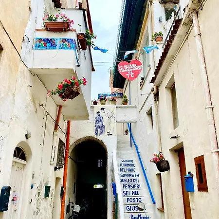 Il Riccio 28